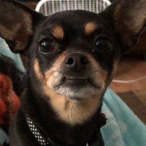 Meet your Posher, Tiffany